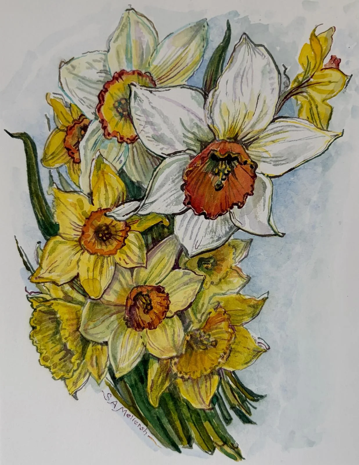 Sally's white and yellow daffodils.