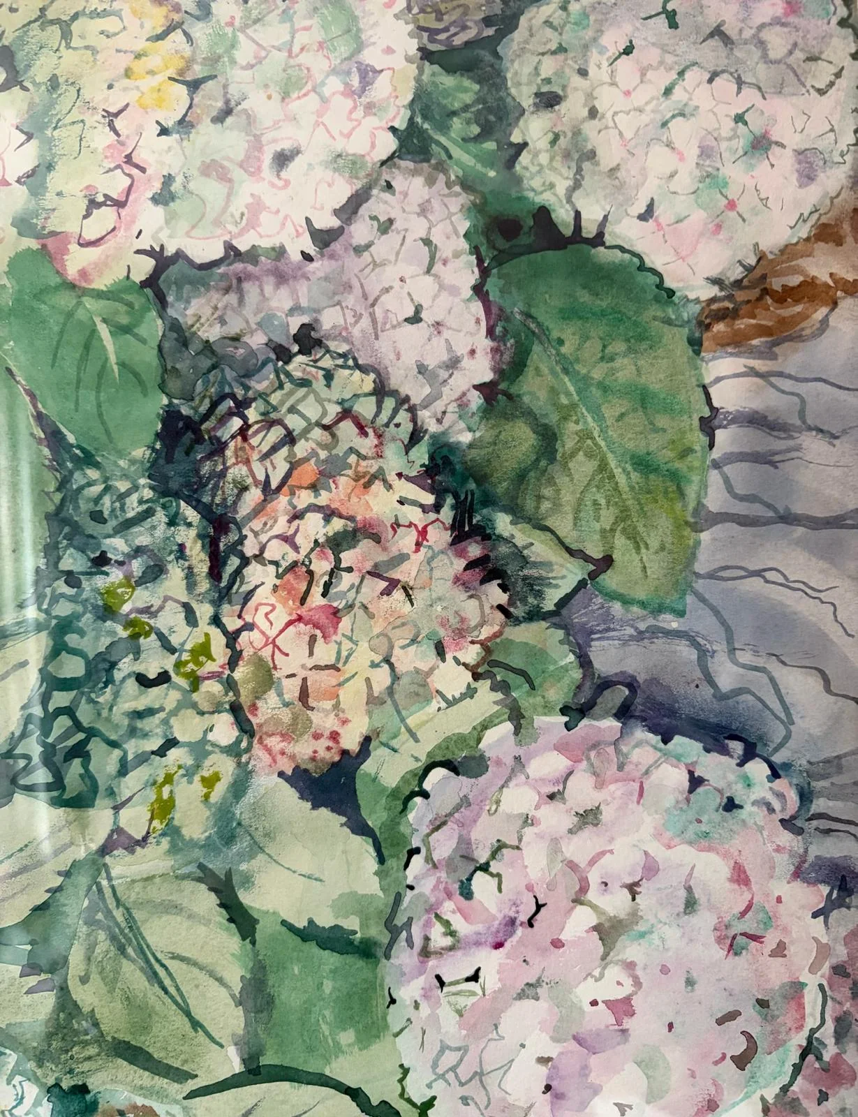 Close view of Sally's pink hydrangeas and green foliage.